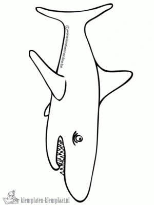 Haai 38 kleurplaat