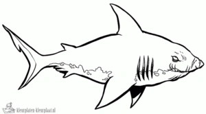 Haai 4 kleurplaat