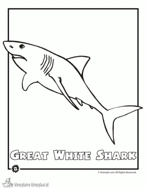 Haai 6 kleurplaat