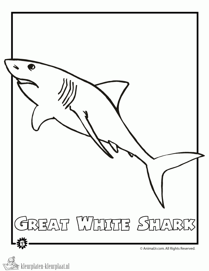 Haai 6 kleurplaat