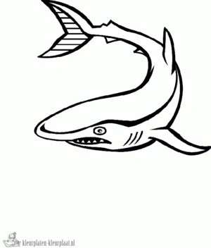 Haai 7 kleurplaat