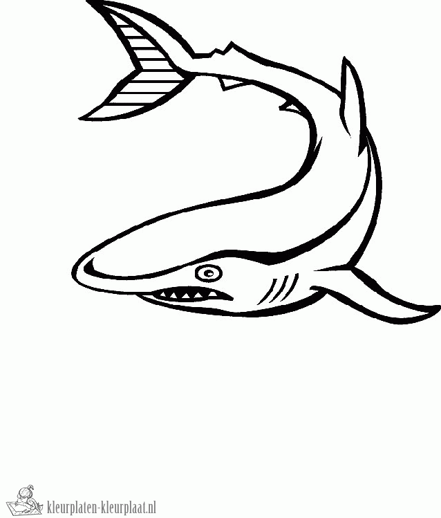 Haai 7 kleurplaat