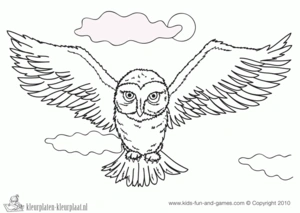 Harry potter 34 kleurplaat