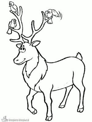 Hert 18 kleurplaat
