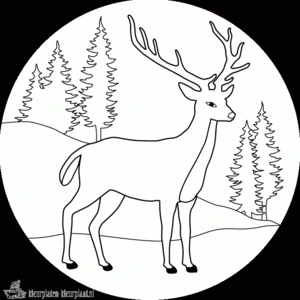 Hert 2 kleurplaat