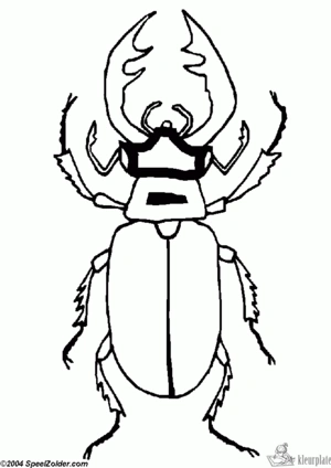 Insecten 1 kleurplaat