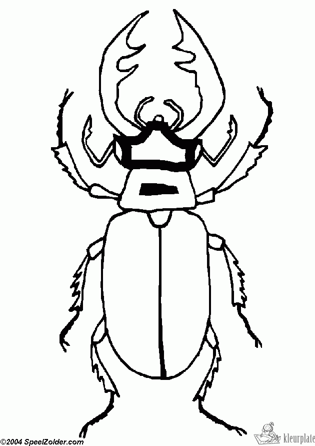 Insecten 1 kleurplaat