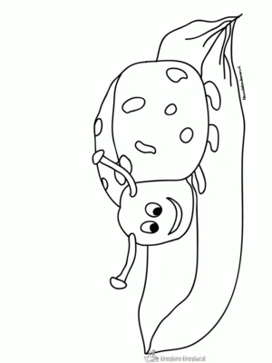 Insecten 12 kleurplaat