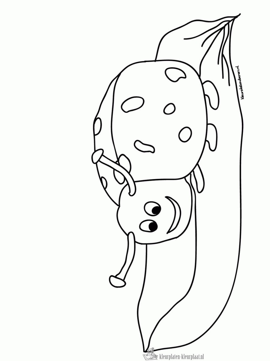 Insecten 12 kleurplaat