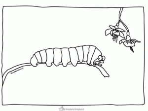 Insecten 14 kleurplaat