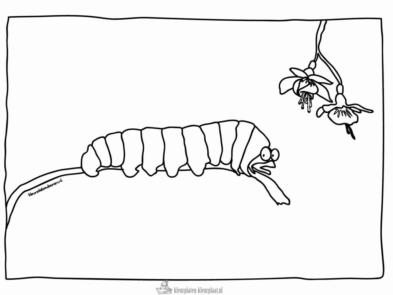 Insecten 14 kleurplaat