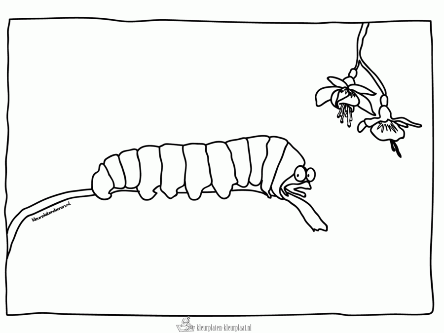 Insecten 14 kleurplaat