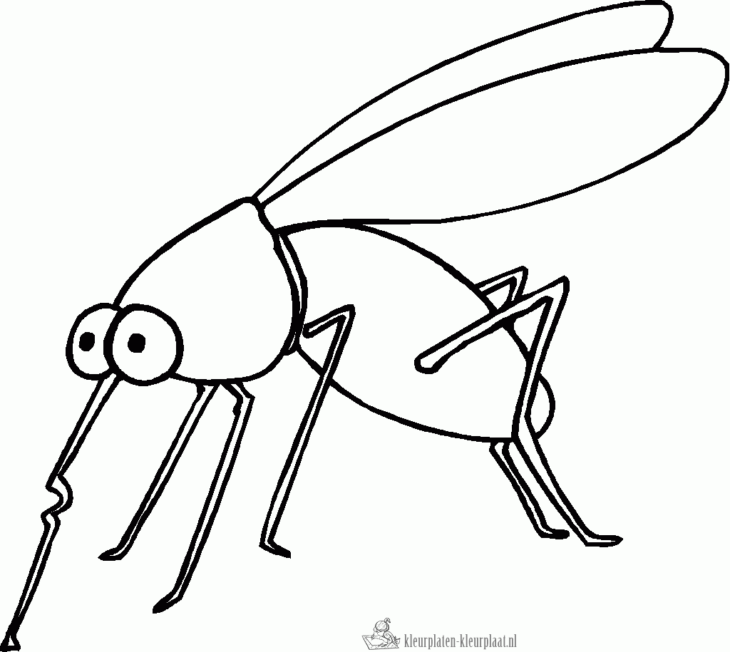 Insecten 15 kleurplaat