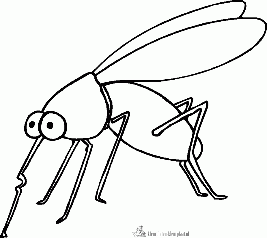 Insecten 15 kleurplaat