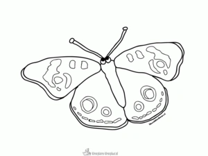 Insecten 16 kleurplaat