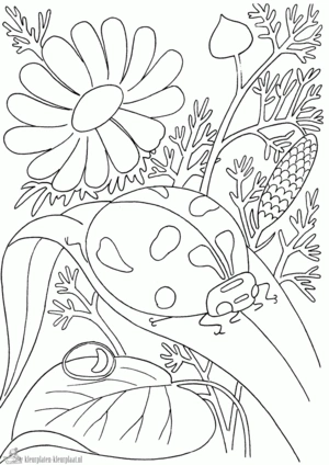 Insecten 2 kleurplaat