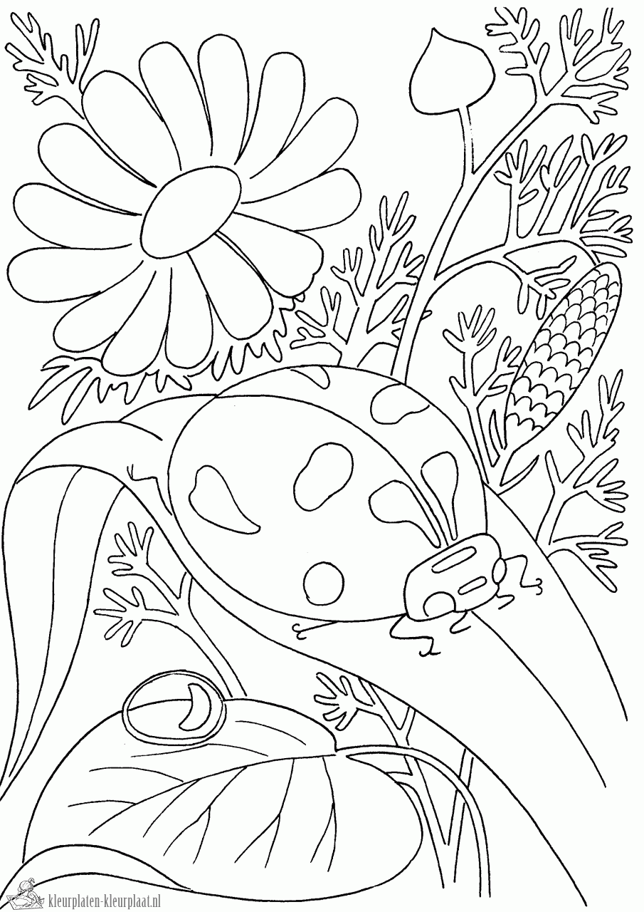 Insecten 2 kleurplaat