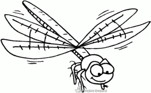 Insecten 25 kleurplaat