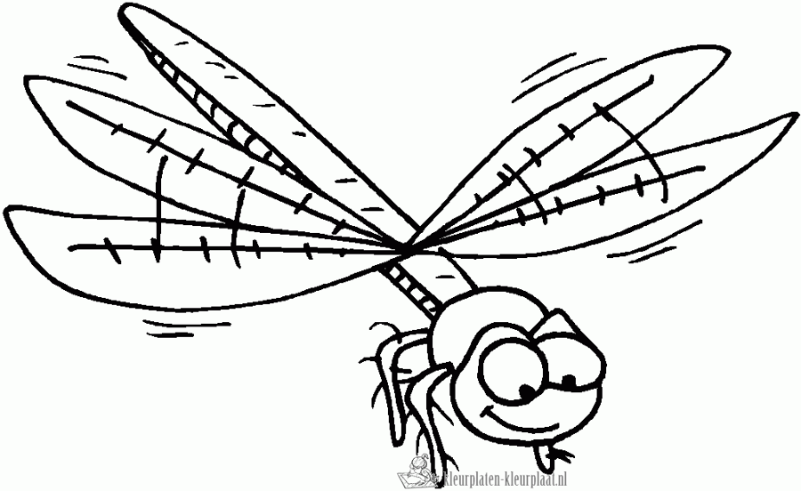 Insecten 25 kleurplaat