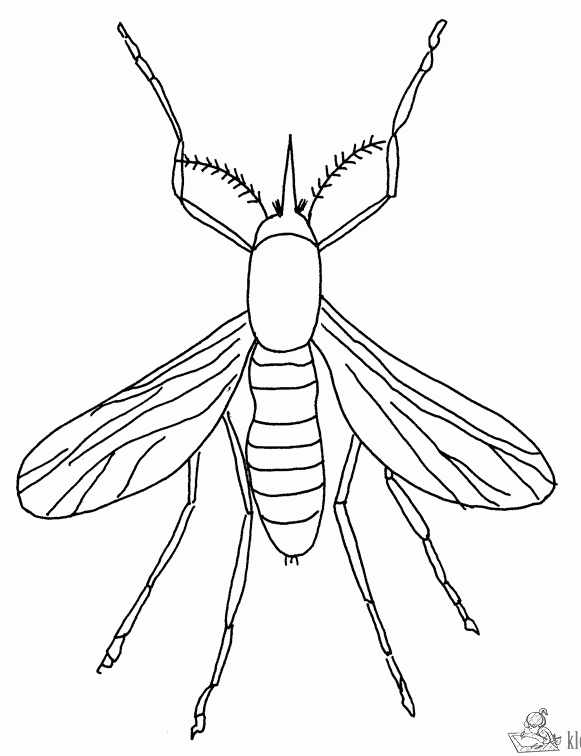 Insecten 39 kleurplaat