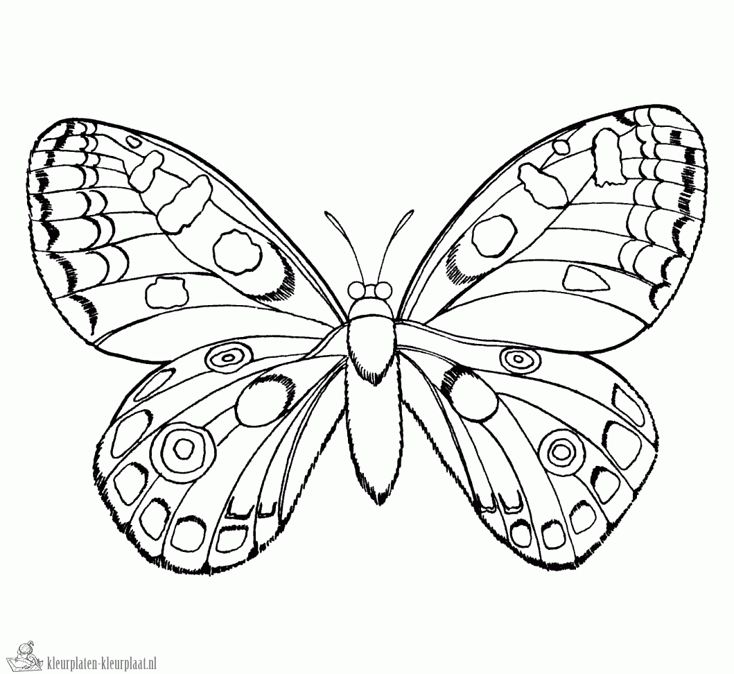 Insecten 4 kleurplaat