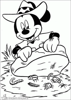 Insecten 9 kleurplaat