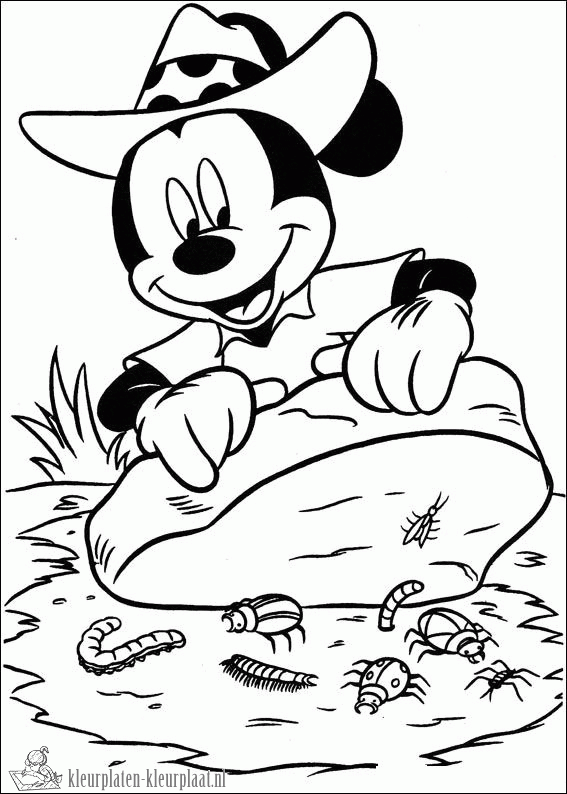 Insecten 9 kleurplaat