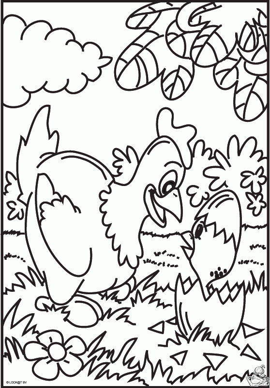 Kip 14 kleurplaat