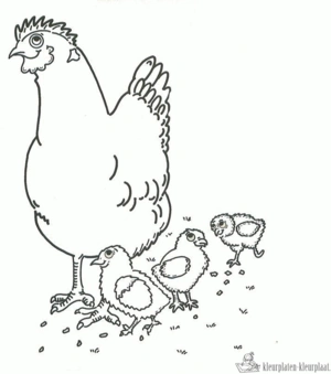 Kip 25 kleurplaat