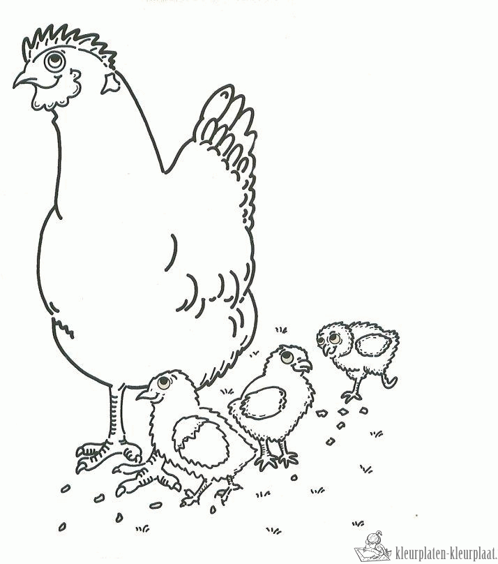 Kip 25 kleurplaat