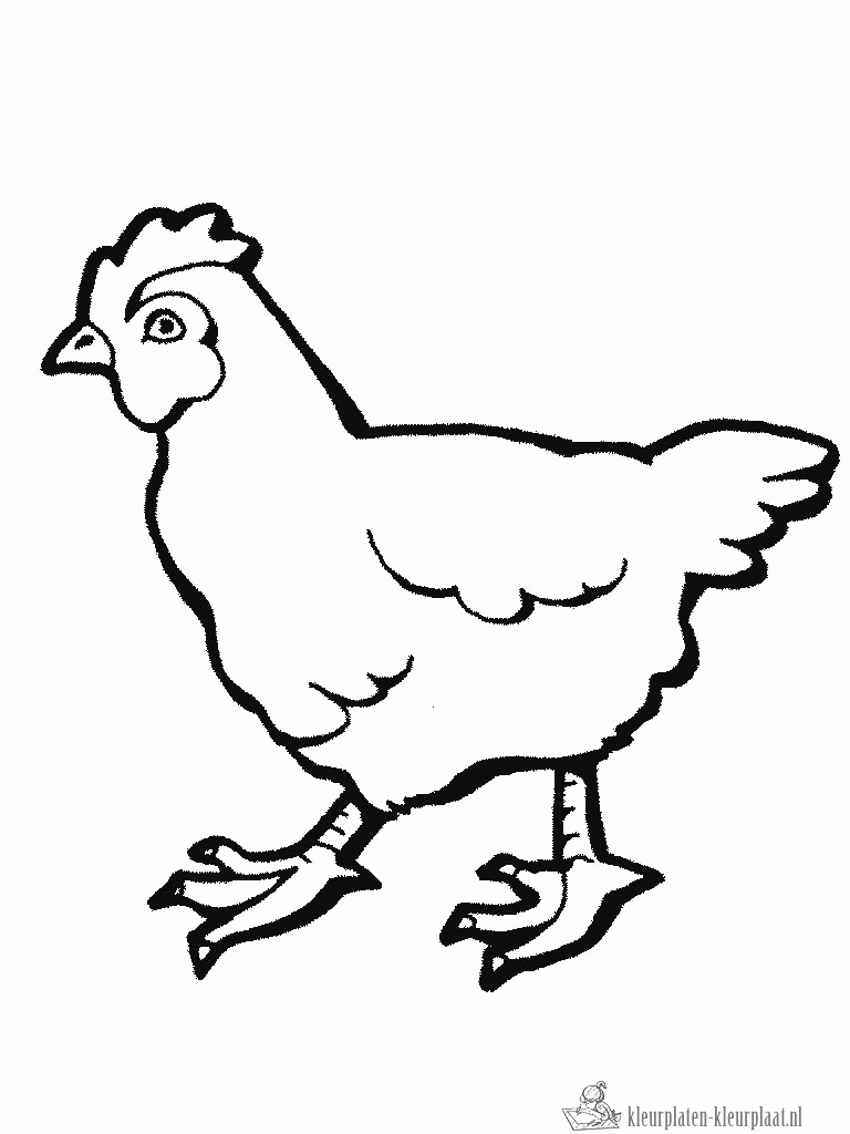 Kip 5 kleurplaat