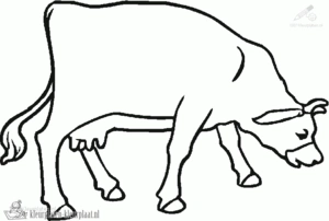 Koe 11 kleurplaat