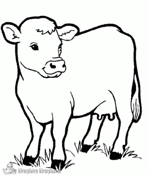 Koe 2 kleurplaat