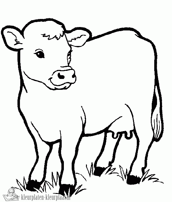 Koe 2 kleurplaat