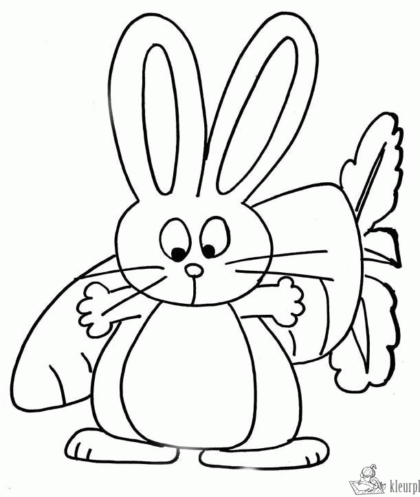 Konijn 17 kleurplaat