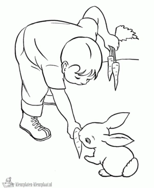 Konijn 24 kleurplaat