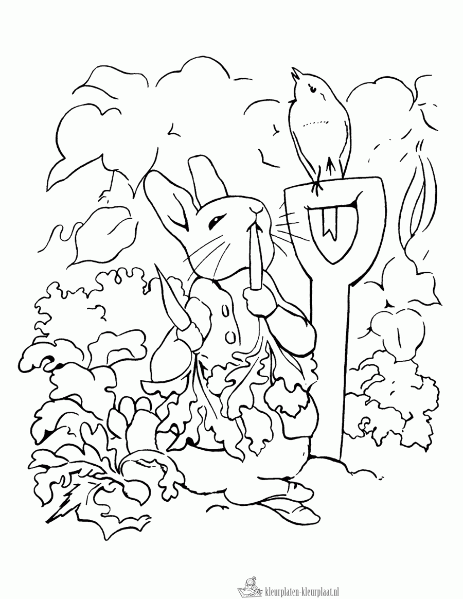 Konijn 27 kleurplaat