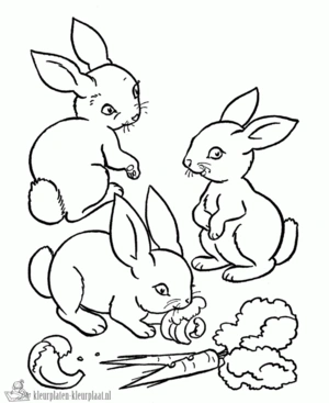 Konijn 3 kleurplaat