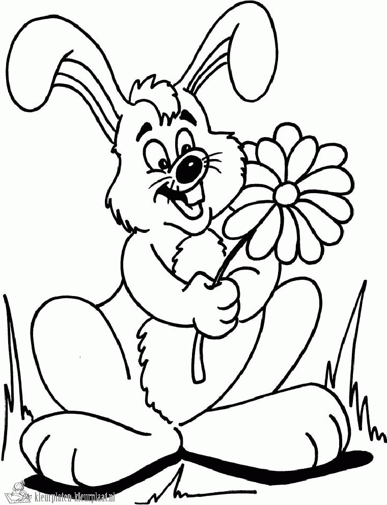 Konijn 35 kleurplaat