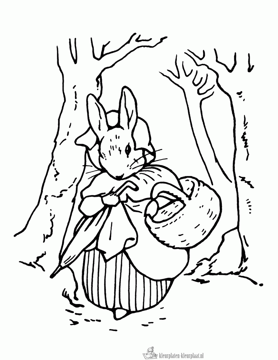 Konijn 56 kleurplaat