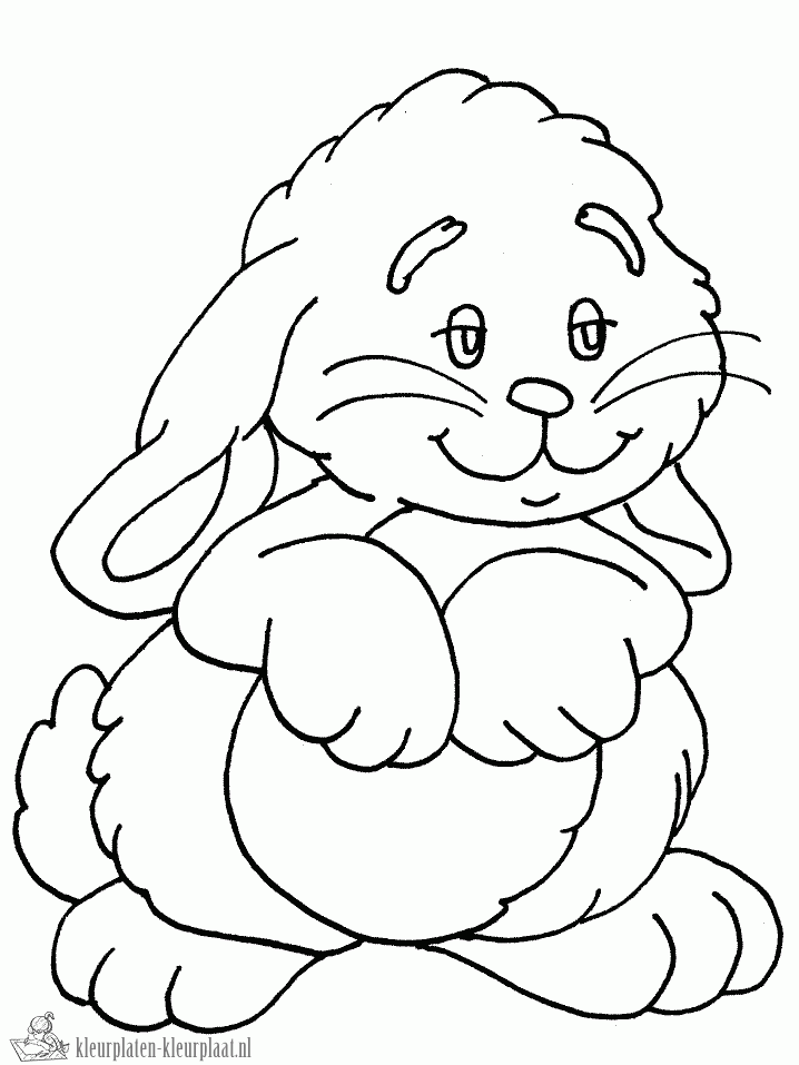Konijn 9 kleurplaat