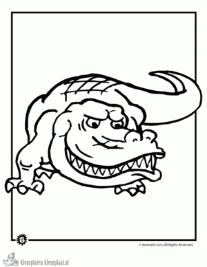 Krokodil 43 kleurplaat