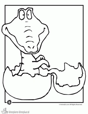 Krokodil 6 kleurplaat