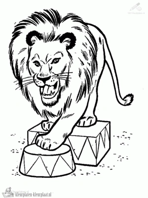 Leeuw 46 kleurplaat