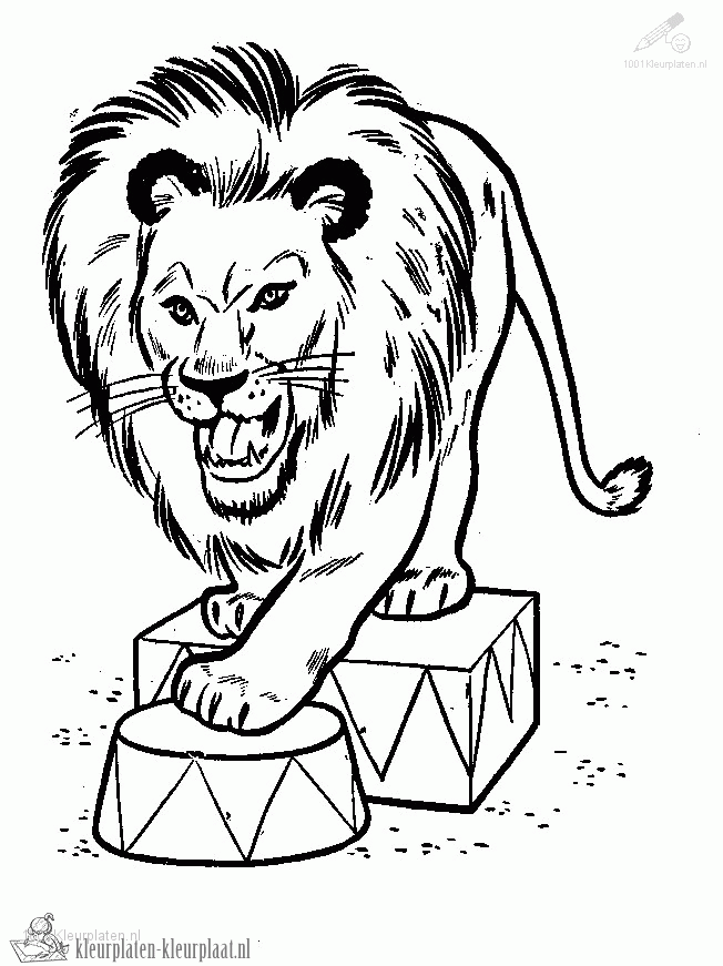 Leeuw 46 kleurplaat