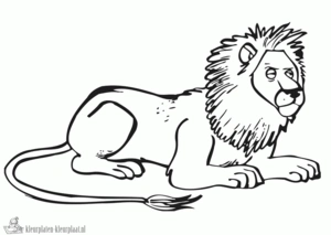 Leeuw 53 kleurplaat