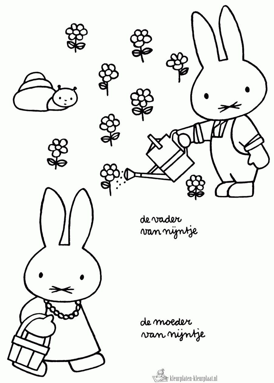 De vader en moeder van Nijntje kleurplaat
