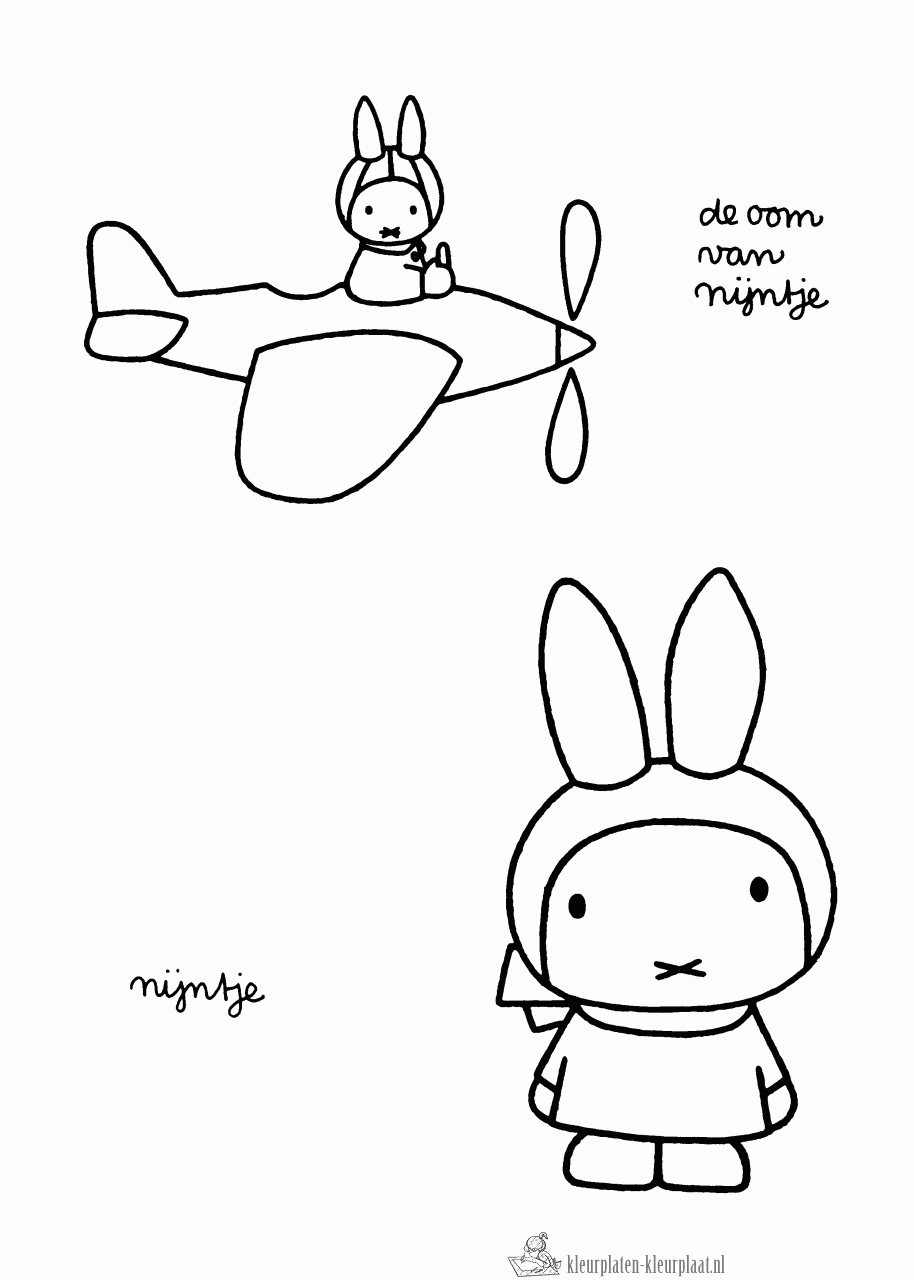 Nijntje als vliegtuig piloot kleurplaat