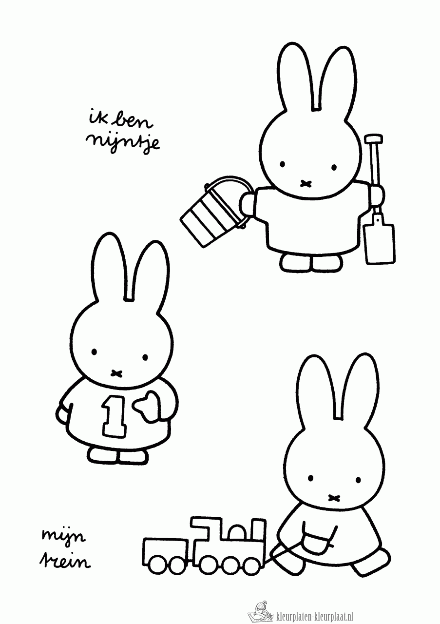 Nijntje op het strand kleurplaat