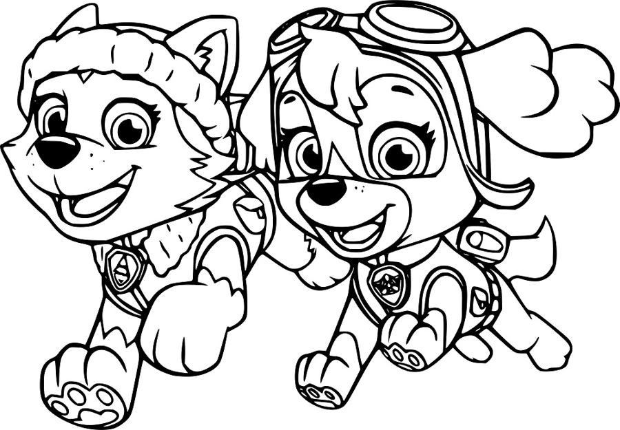Paw Patrol kleurplaat van Everest en Skye die samen lopen in actie